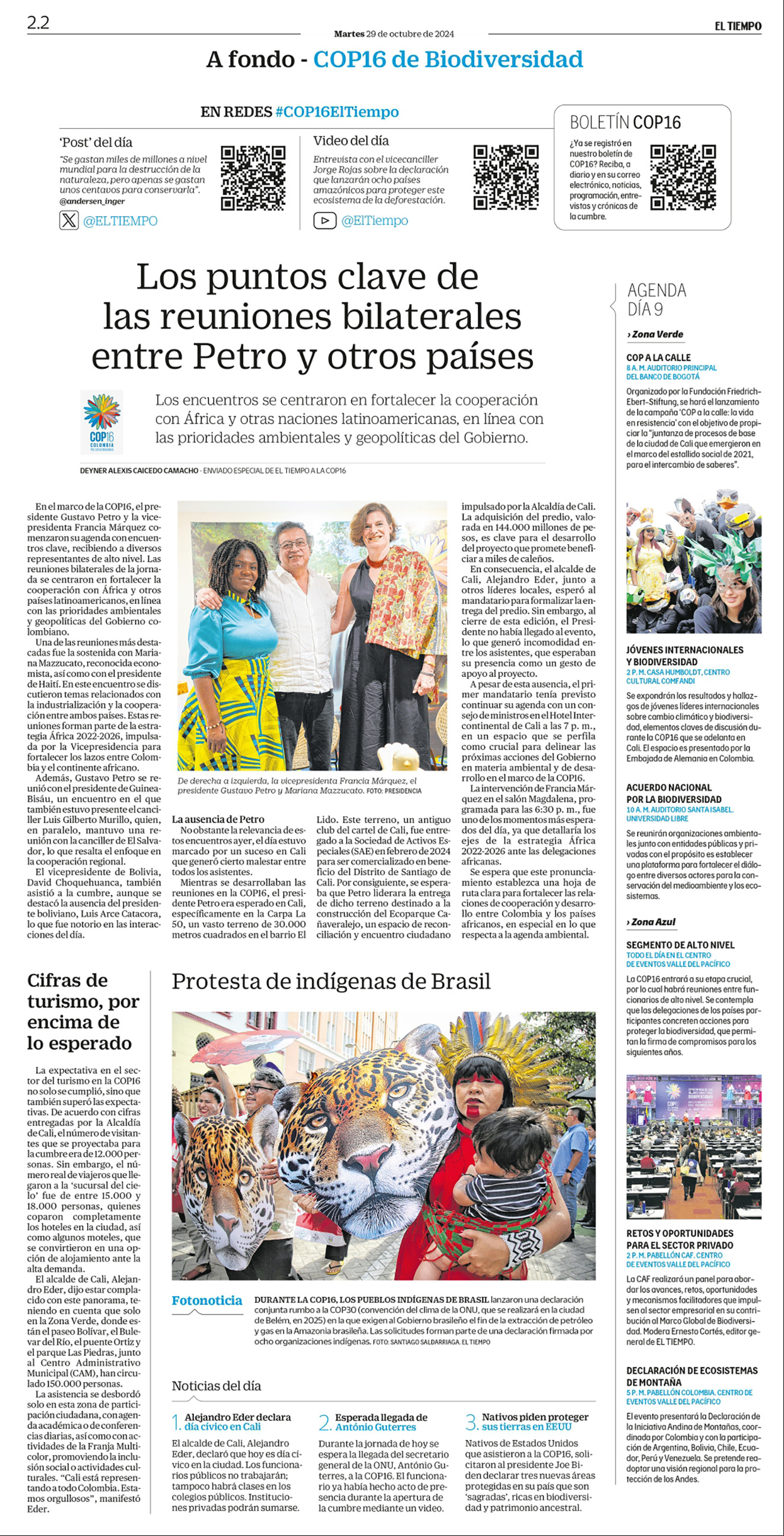 De a poco, la deforestación va destruyendo el bosque virgen de la Amazonia, sin que nada pueda frenarla.