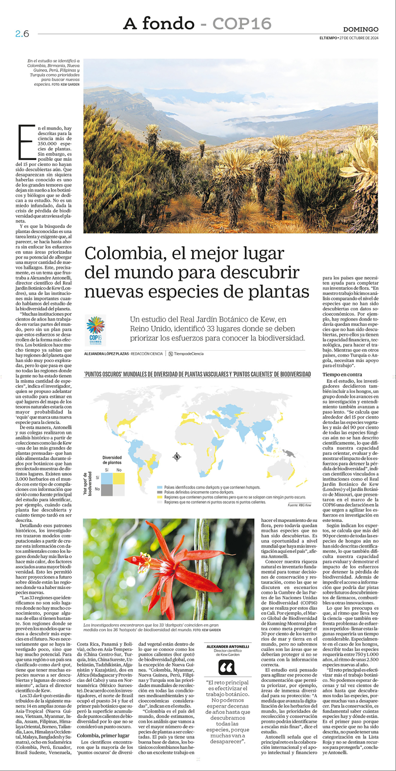 De a poco, la deforestación va destruyendo el bosque virgen de la Amazonia, sin que nada pueda frenarla.